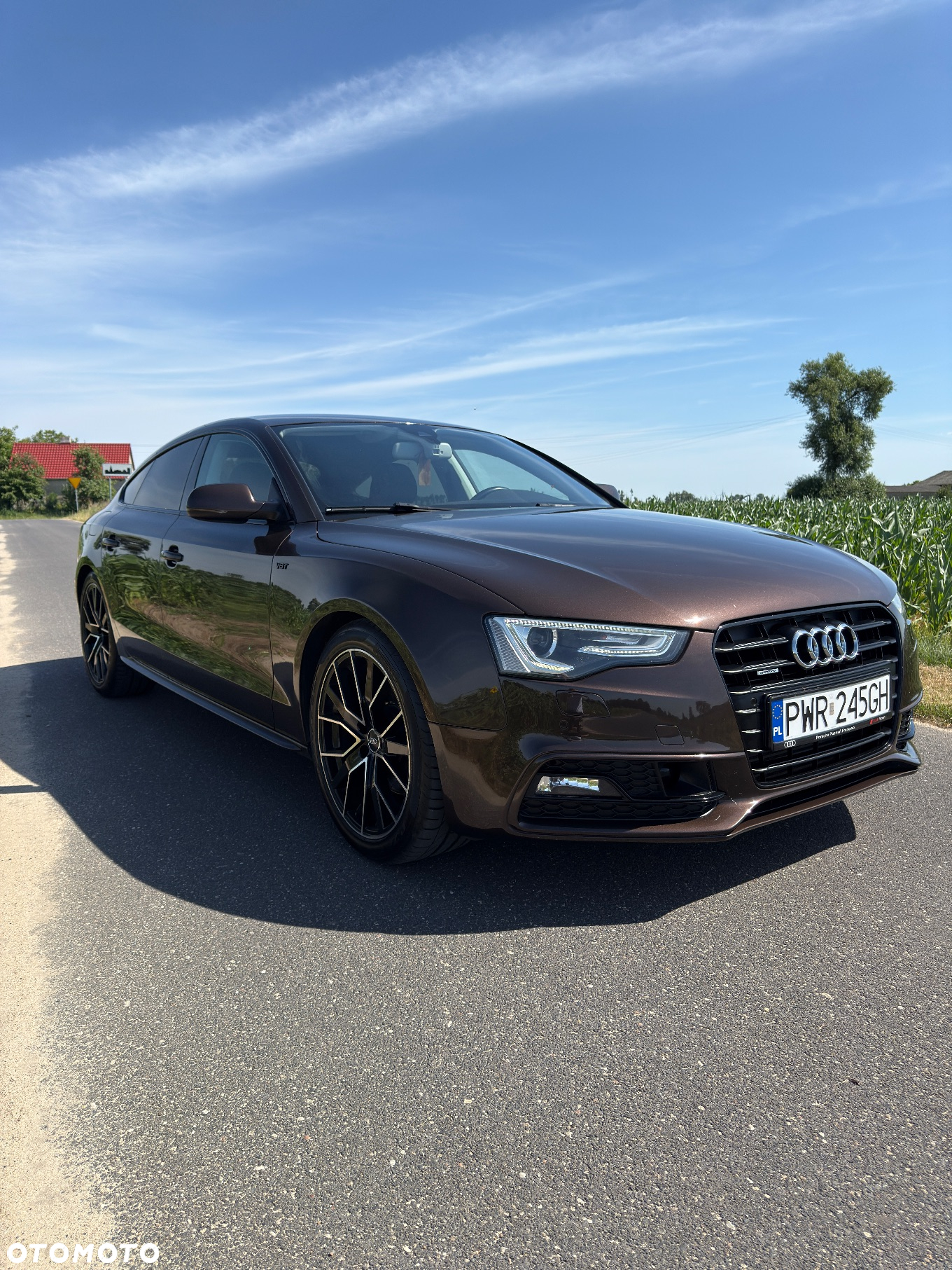 Audi A5 3.0 TDI Quattro S tronic - 2
