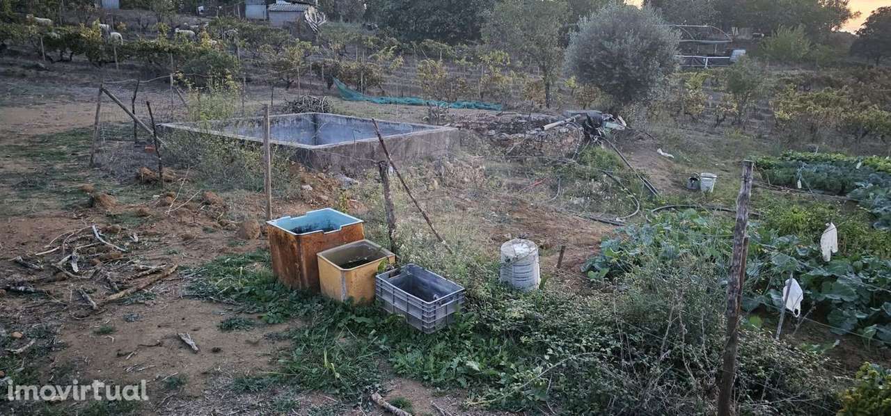 Tereno com agua e luz para agricultura - Grande imagem: 3/12