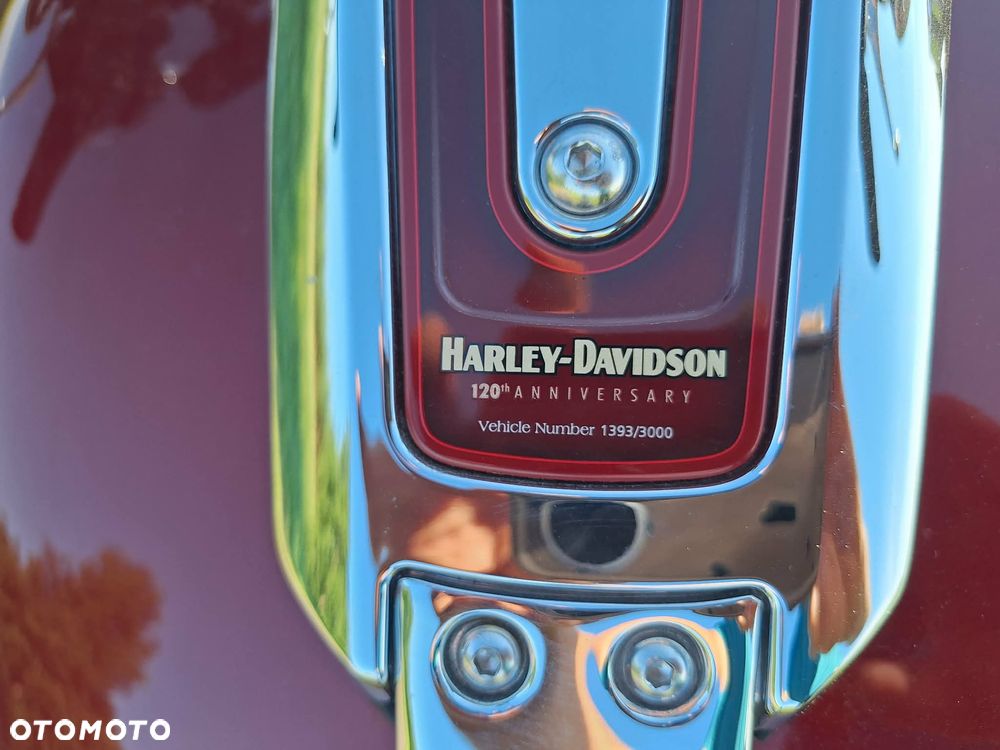 Harley-Davidson Inny - 10