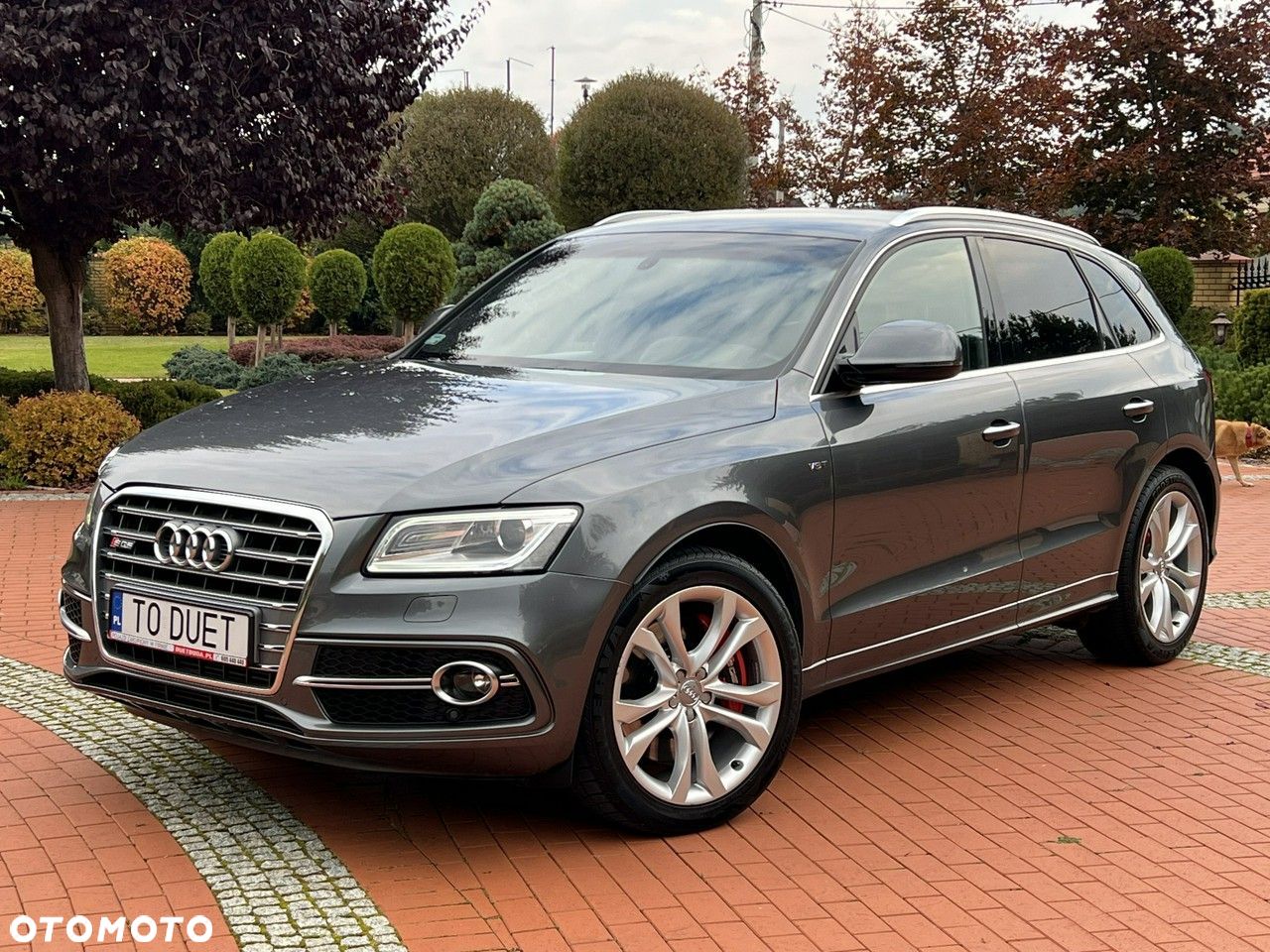 Audi SQ5 - 1