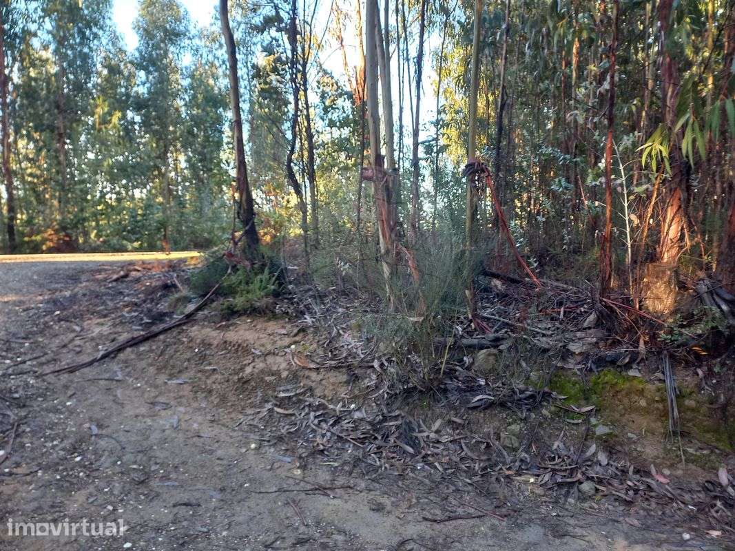 Terreno  para venda - Grande imagem: 4/4