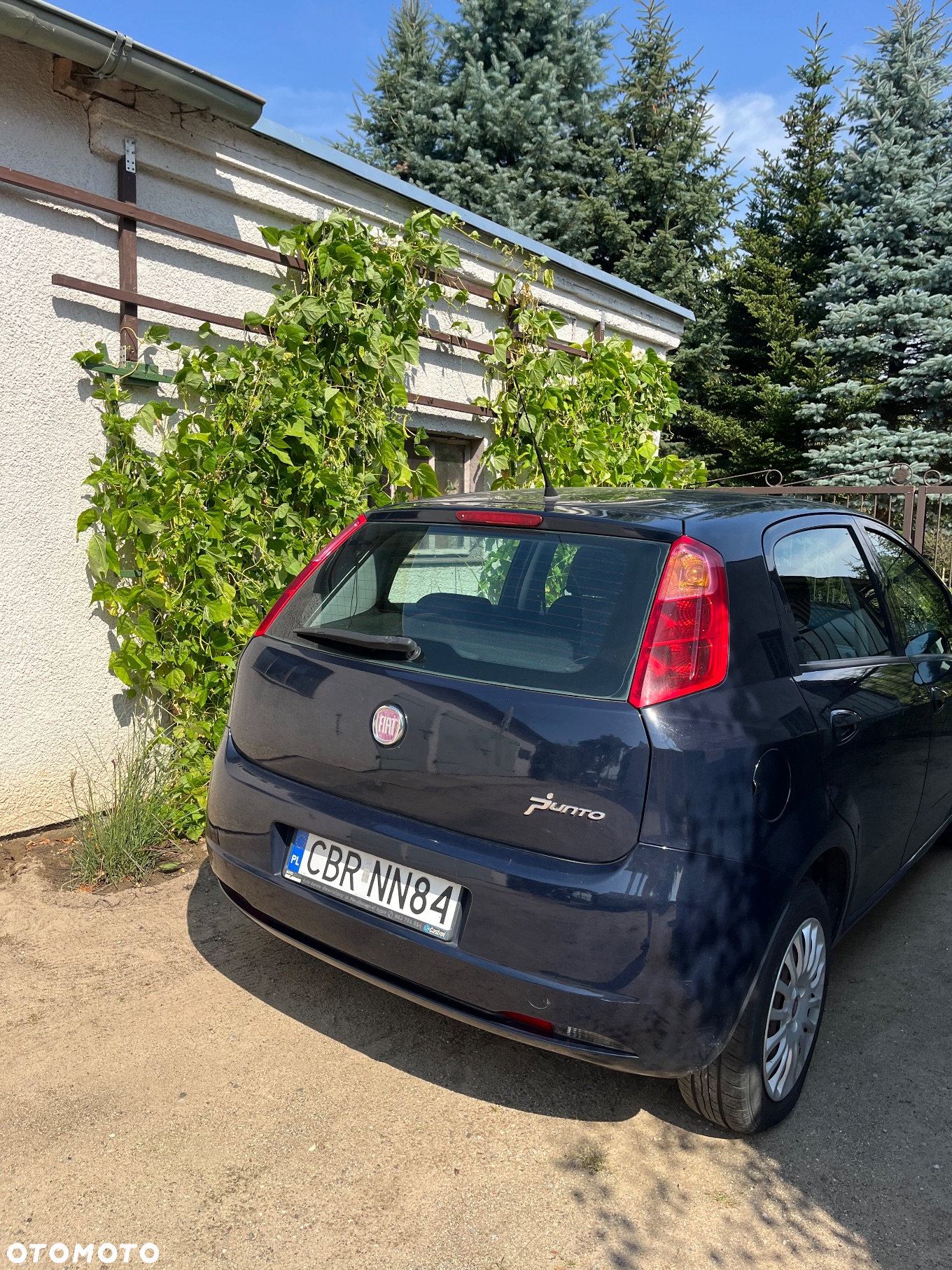 Fiat Grande Punto - 3