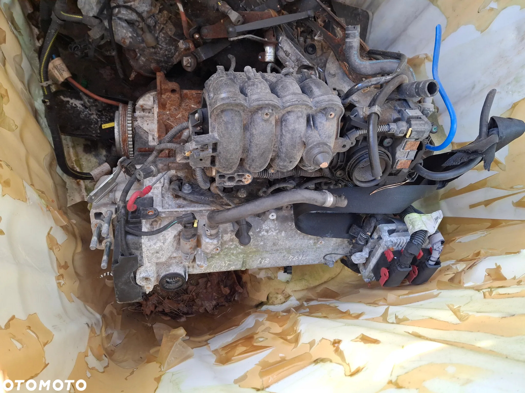 Silnik Fiat Ford Ka 1,2 8V 169A4000 86tkm. z Niemiec - 2