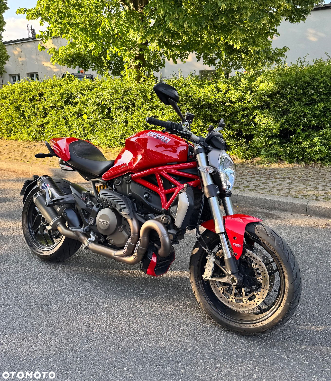 Ducati Monster - 14