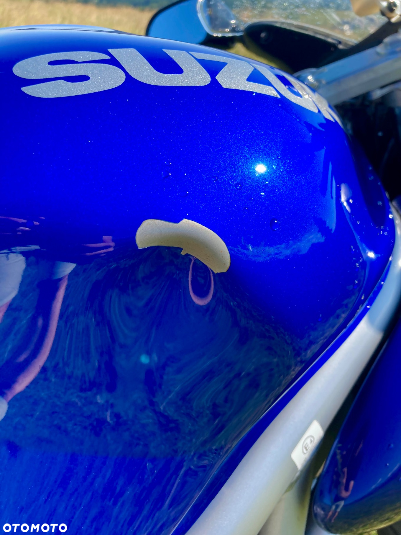Suzuki SV - 16