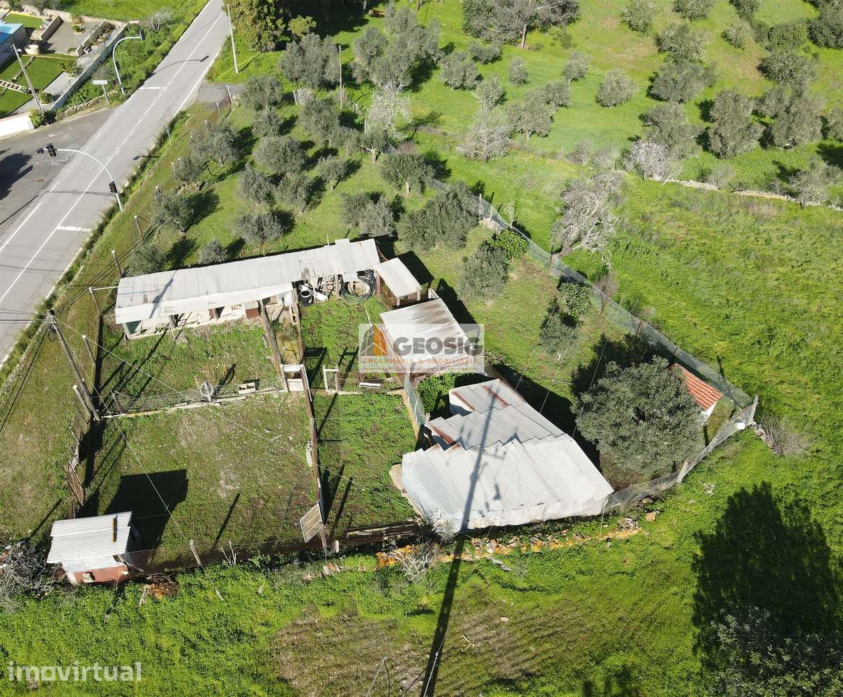 Terreno  Venda em Espírito Santo,Mértola - Grande imagem: 3/8