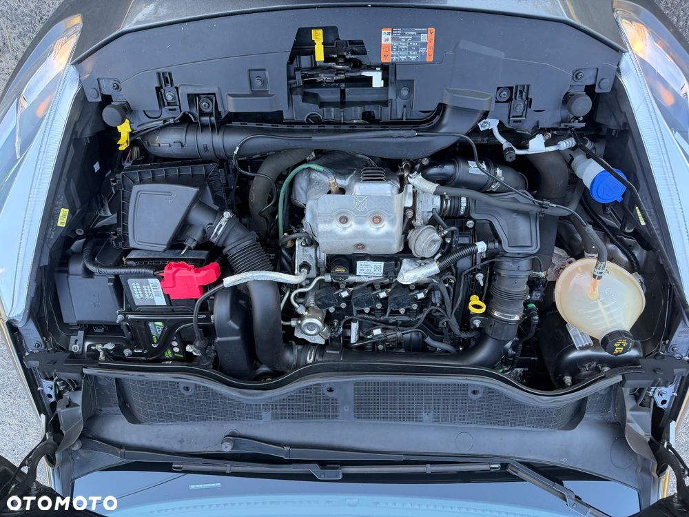 Ford Fiesta - 32