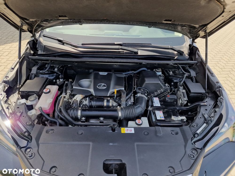 Lexus NX 300 Elegance Optimum AWD - 18