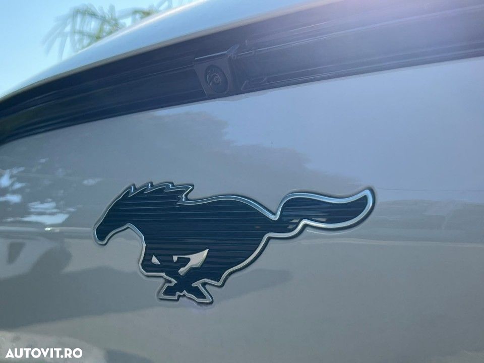 Ford Mustang Mach-E - 18