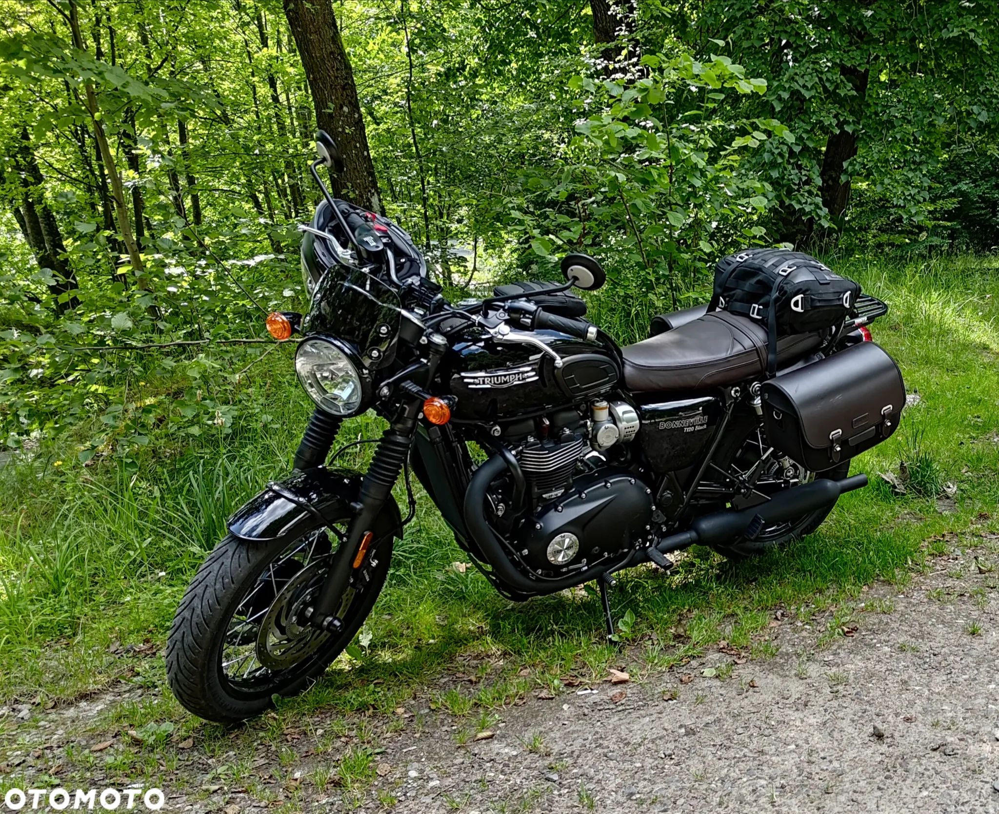 Triumph Bonneville - 1