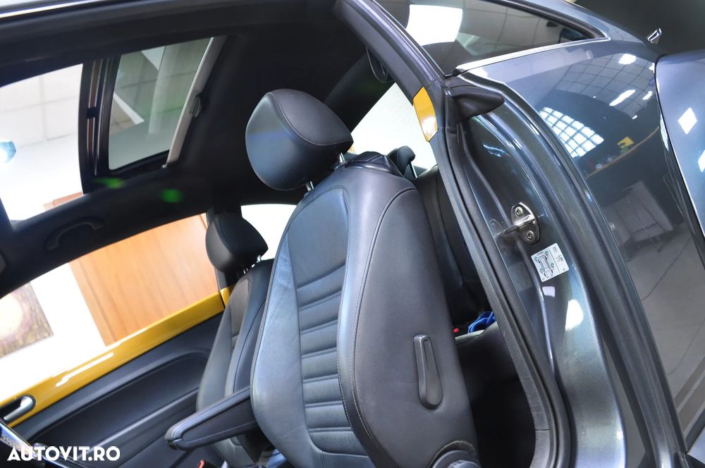 Volkswagen Beetle - 11