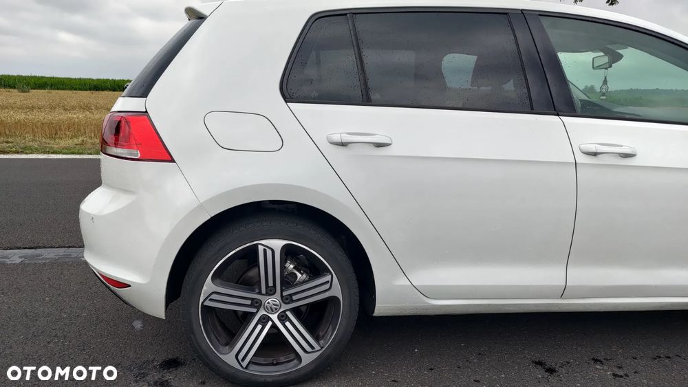 Volkswagen Golf 1.6 TDI BlueMotion Technology Cup - 12