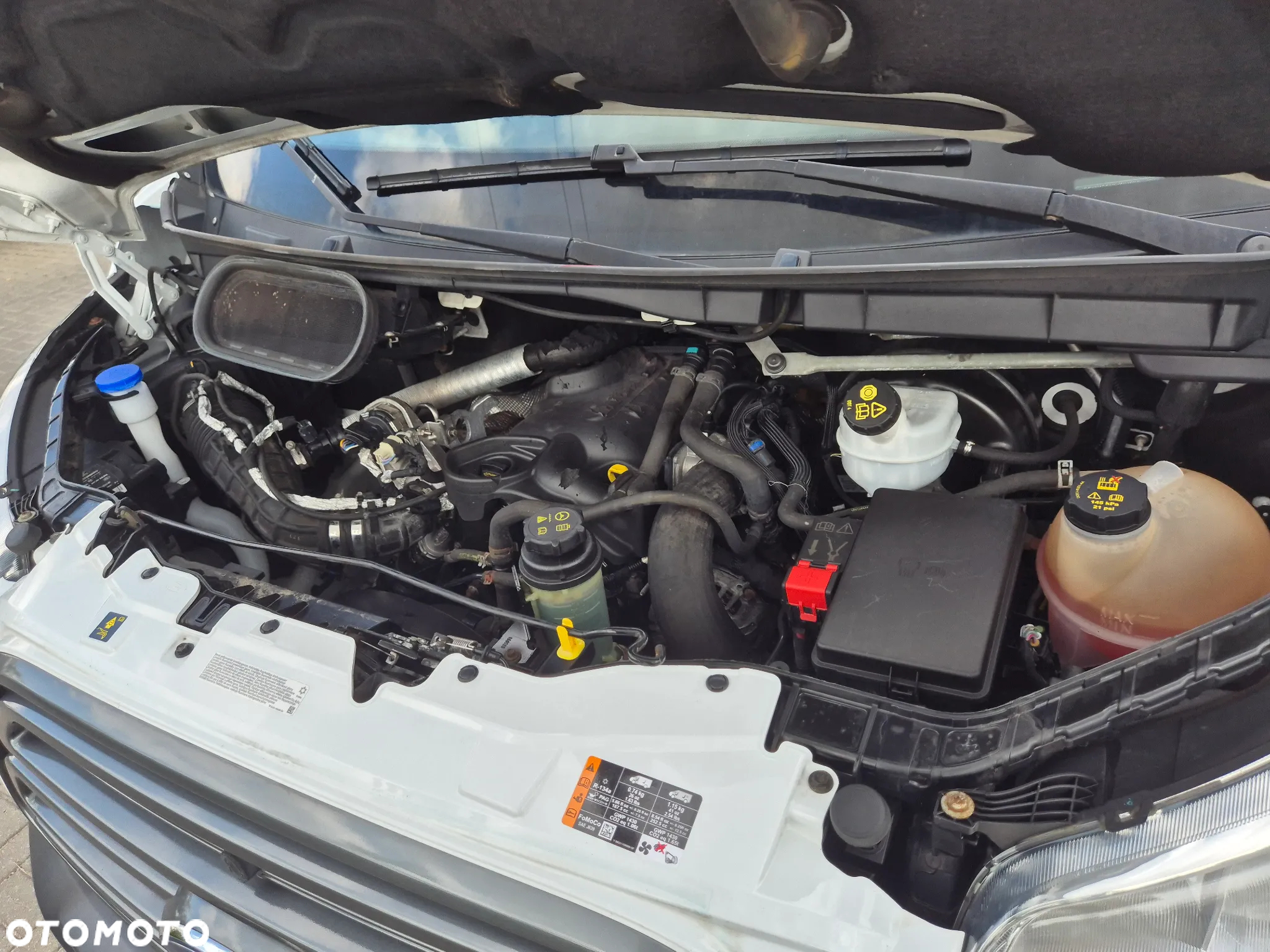 Ford TRANSIT L4 H3 MAX  KLIMA SUPER STAN - 40