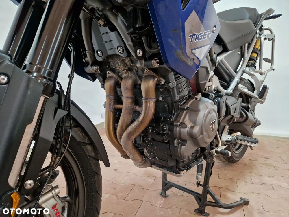 Triumph Tiger - 21