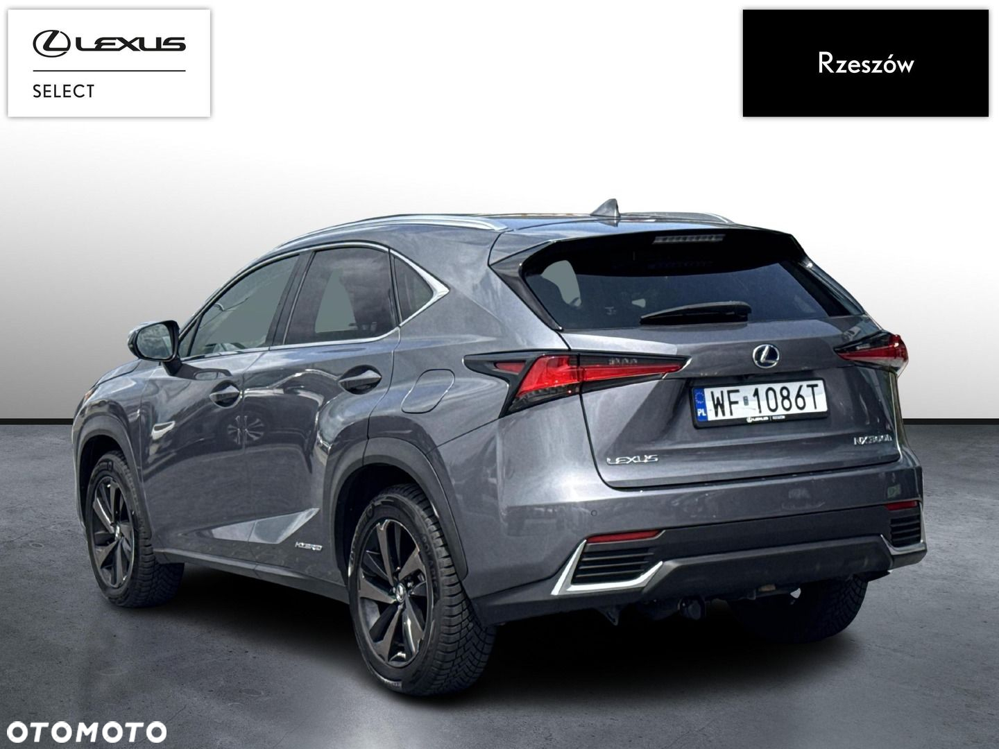 Lexus NX - 3