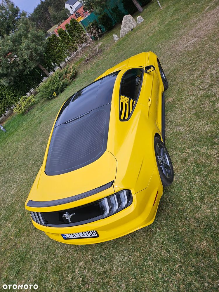 Ford Mustang 3.7 V6 - 14