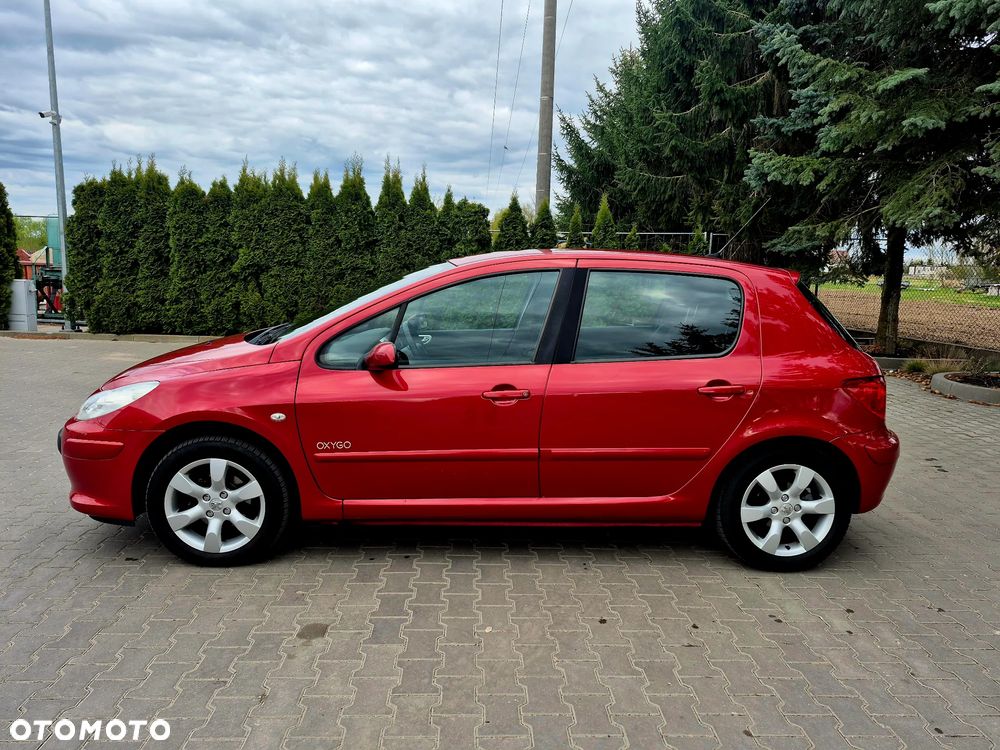 Peugeot 307 - 16