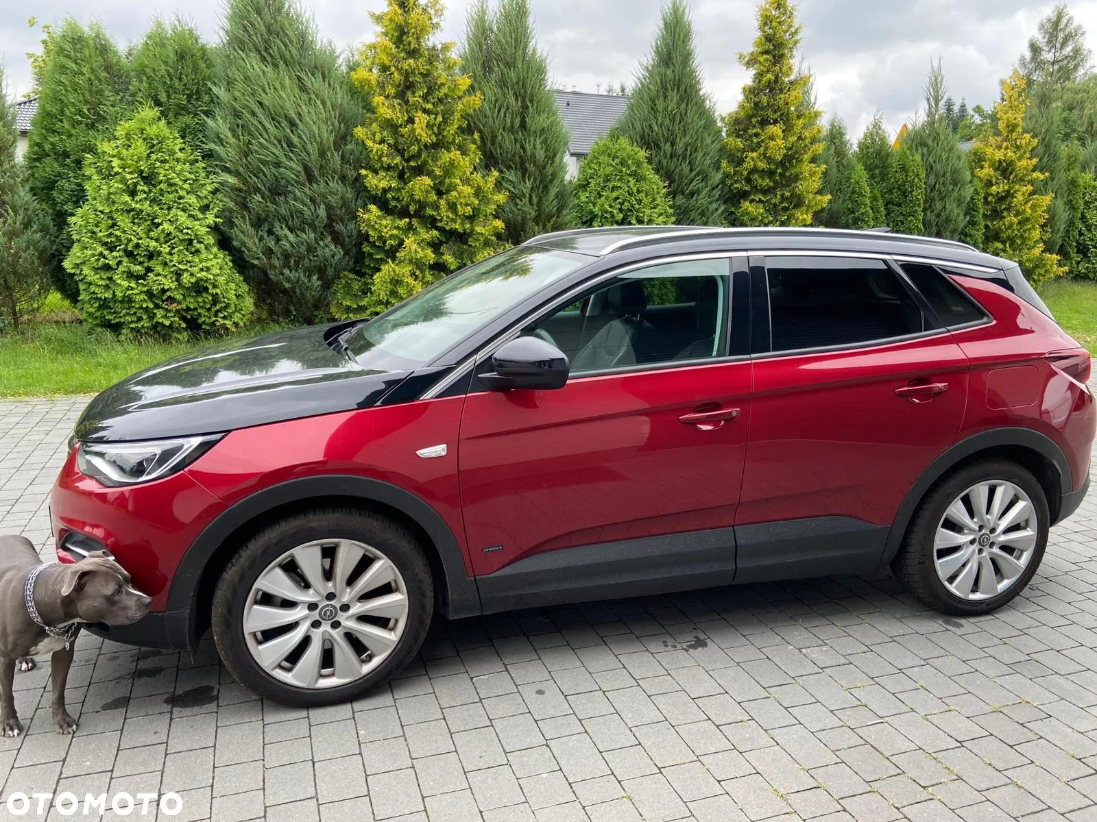 Opel Grandland X Plug-in-Hybrid4 1.6 DI Start/Stop Ultimate - 2