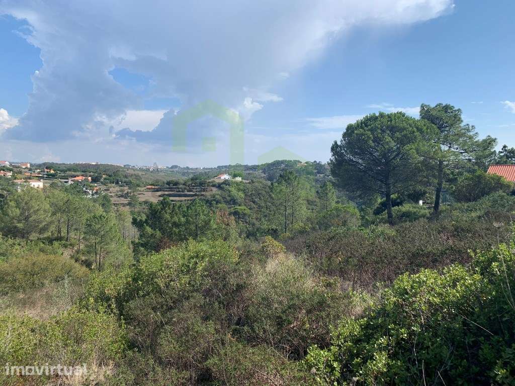 Terreno - Ericeira 6 km , A Casa das Casas - Grande imagem: 2/16