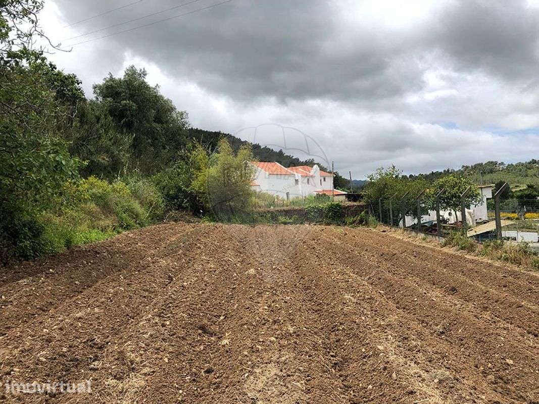 Quinta T9 para venda - Grande imagem: 4/27