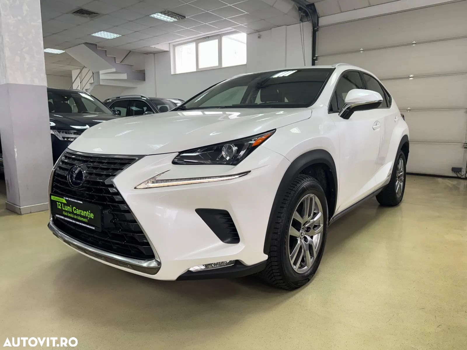 Lexus Seria NX 300h AWD Executive Plus - 1