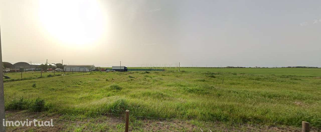 ** - Grande imagem: 5/9