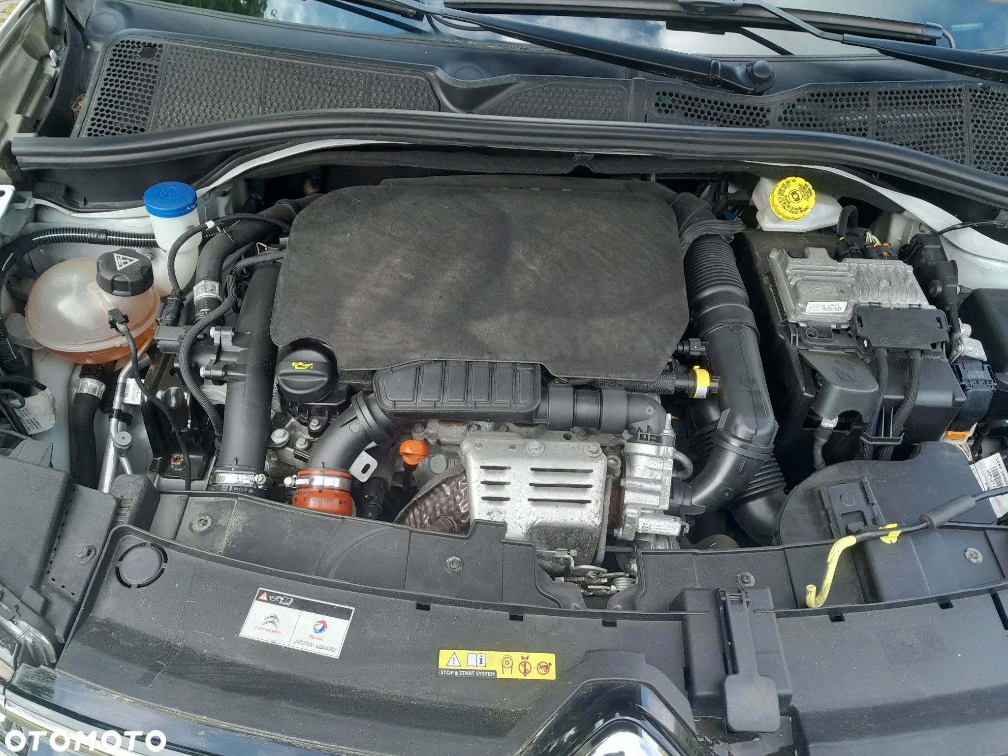 Citroën C4 Cactus 1.2 PureTech Feel Edition S&S - 30