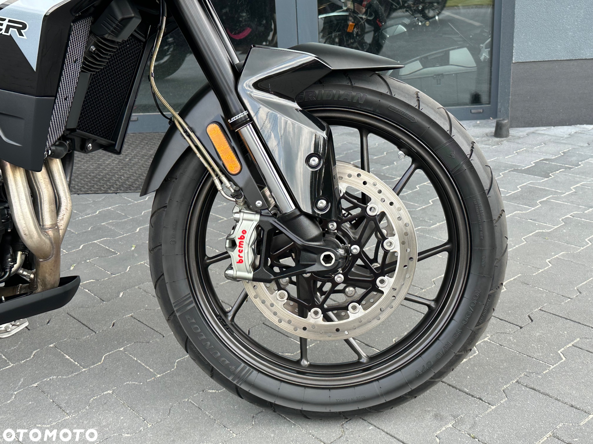Triumph Tiger - 8