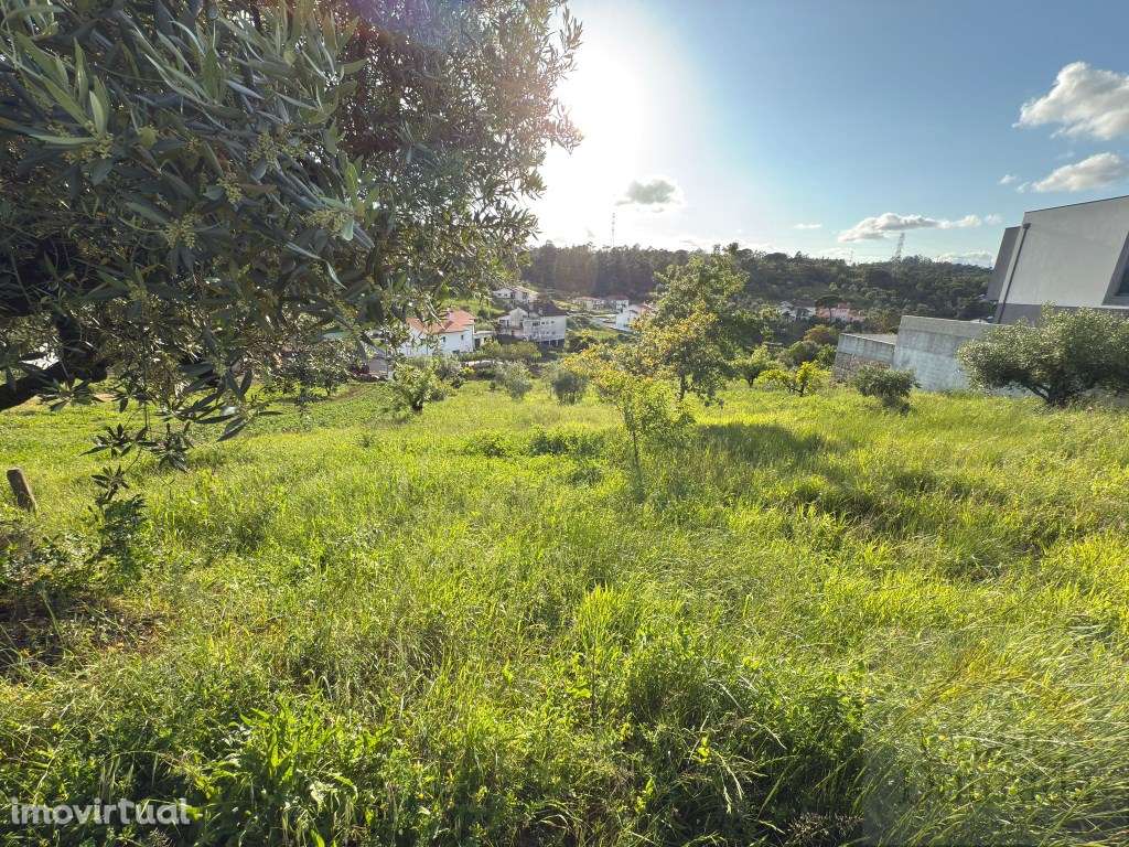 Terreno de 1.300m2 para moradia isolada - Grande imagem: 4/10