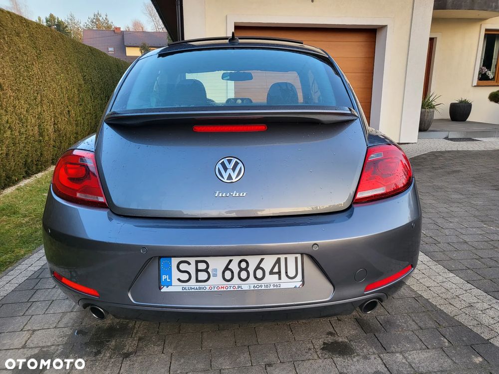Volkswagen New Beetle - 19