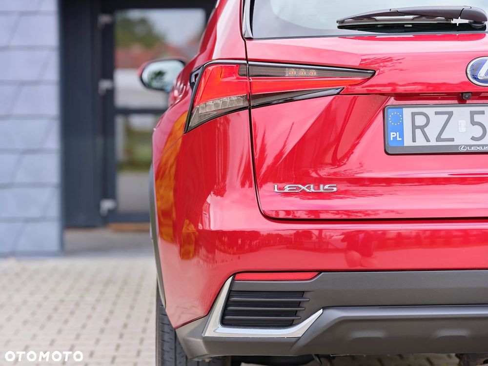 Lexus NX 300h Elegance + Business AWD - 24