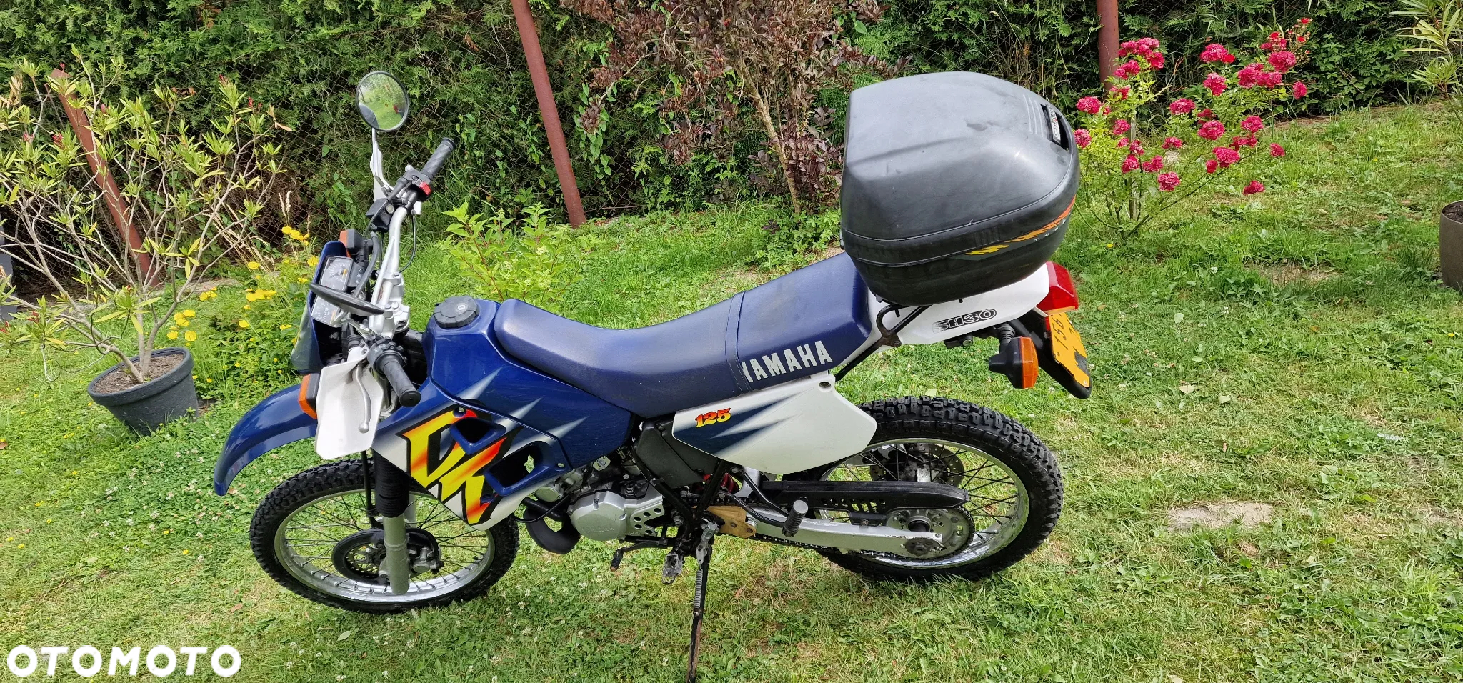 Yamaha DT - 3