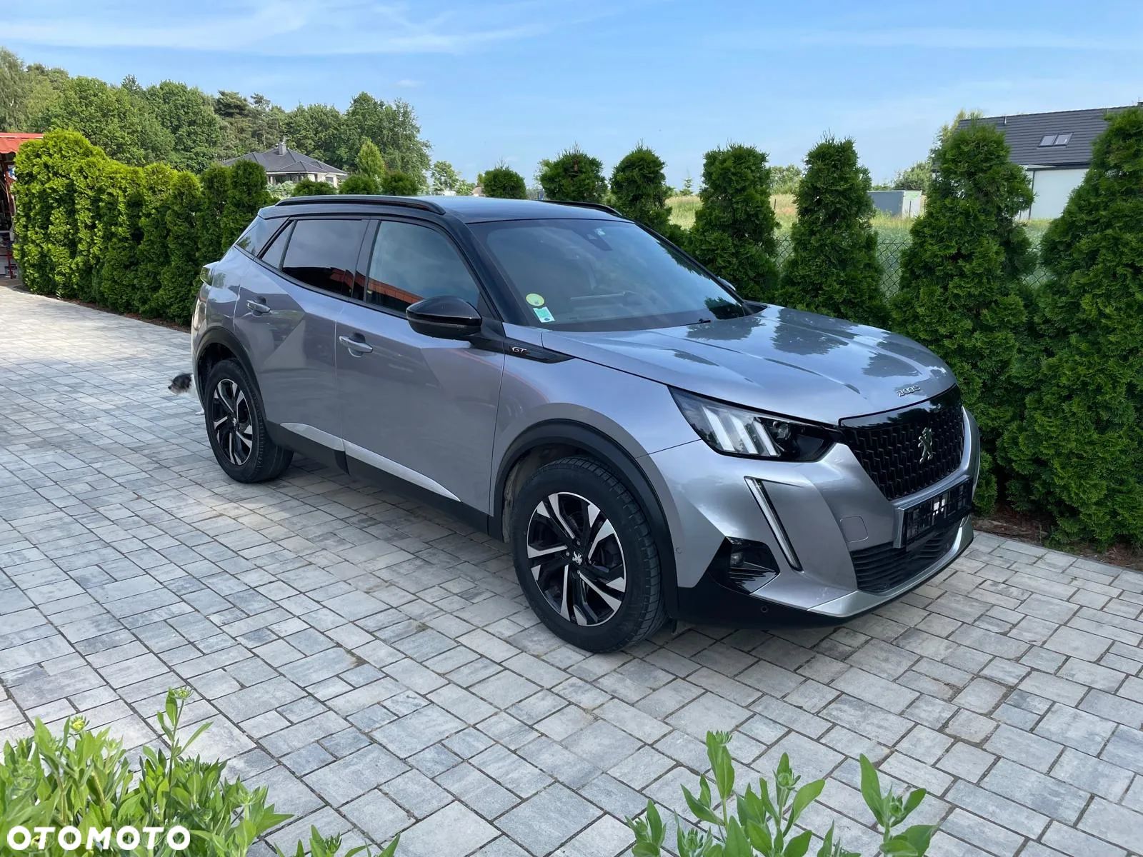 Peugeot 2008 1.5 BlueHDi GT S&S EAT8 - 1