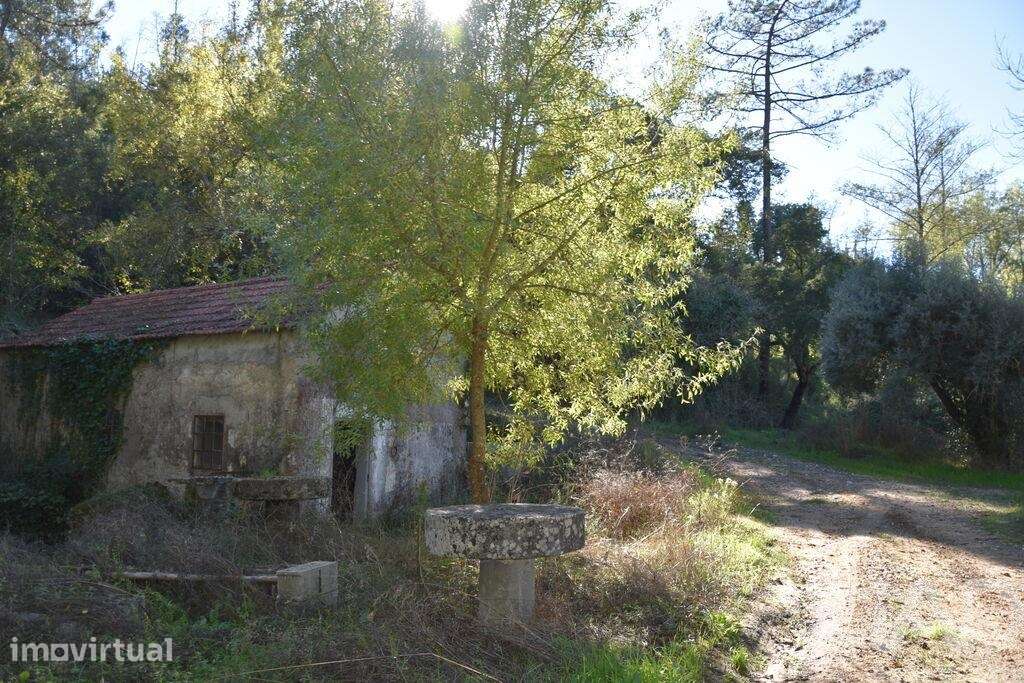 Casa de Campo T1 em Urqueira de 31,00 m2 - Grande imagem: 2/28
