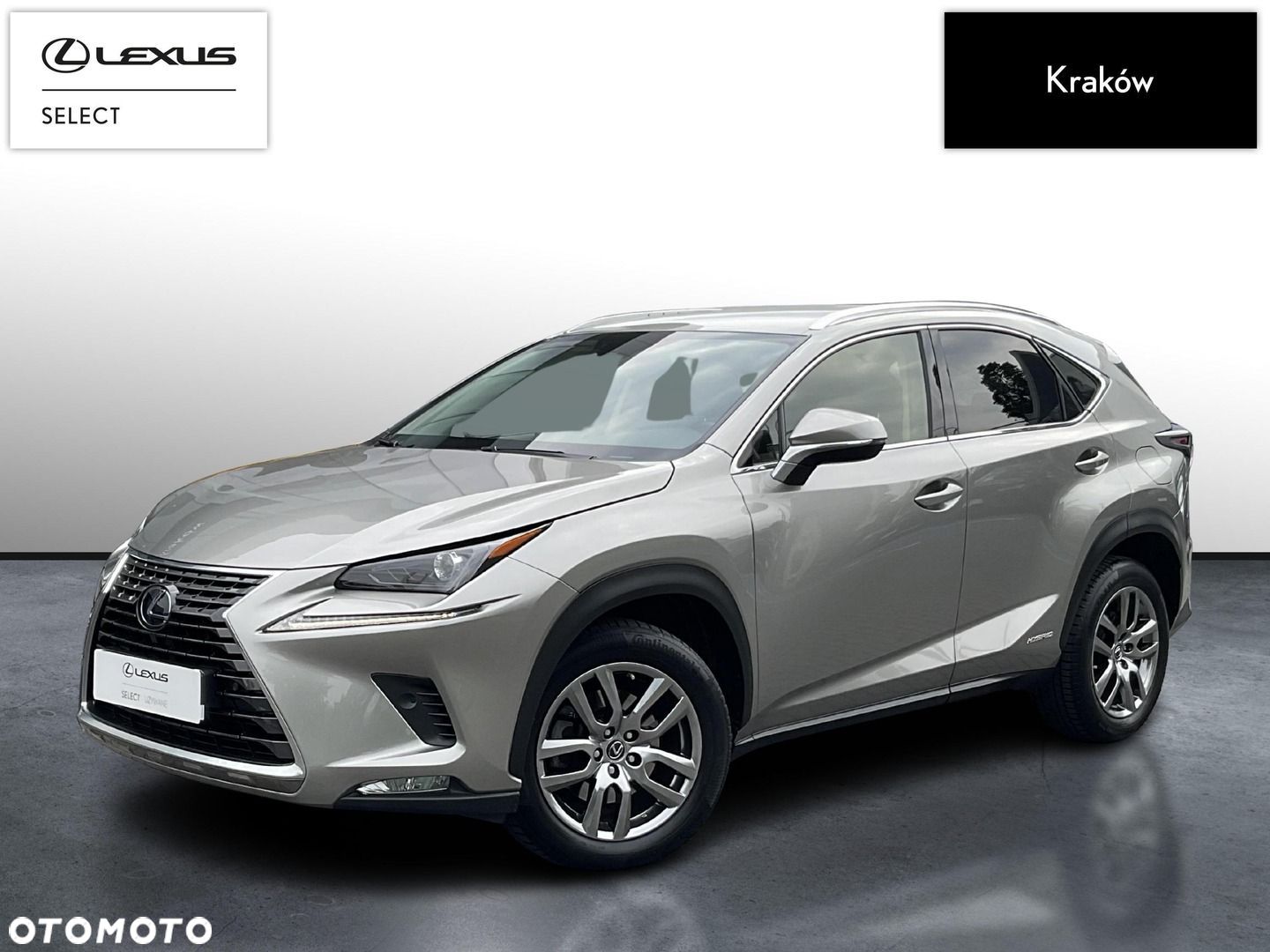 Lexus NX - 1