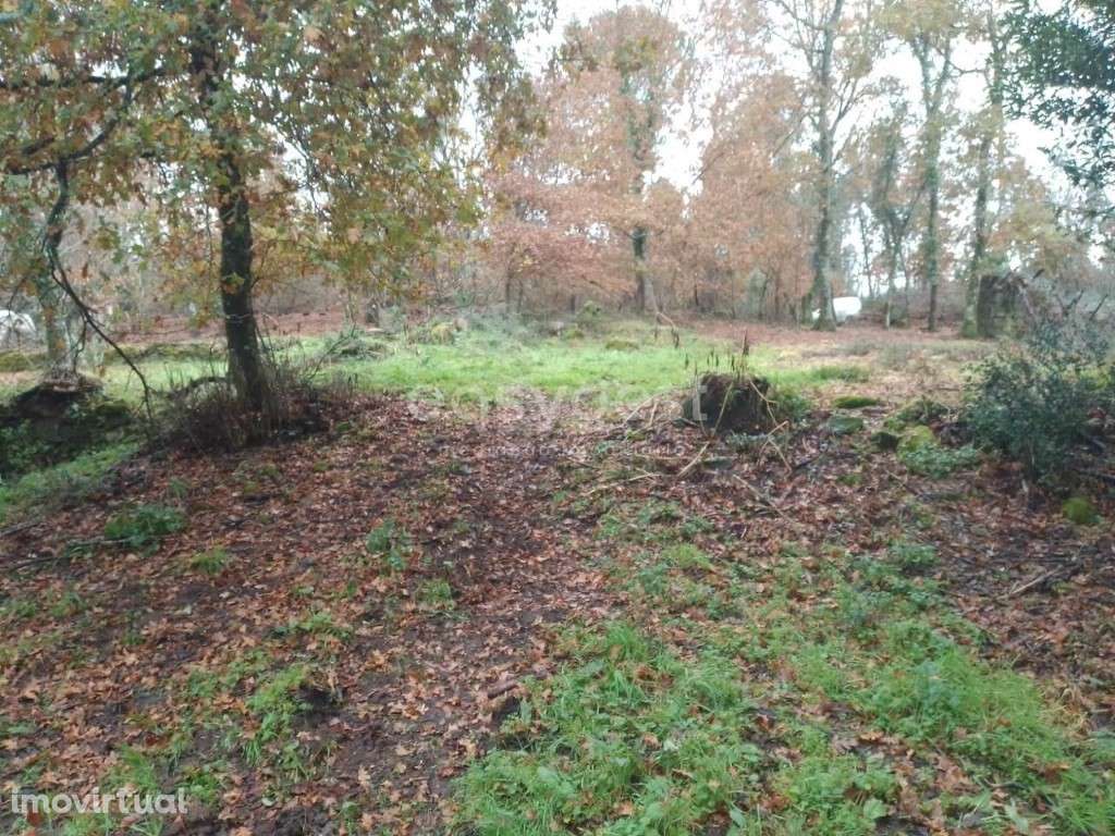 Terreno com viabilidade de construção em Canas de Santa Maria, Tondela - Grande imagem: 4/18