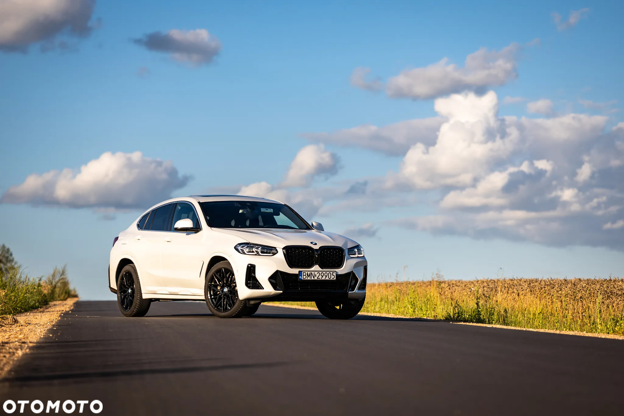 BMW X4 xDrive30i M Sport X - 5