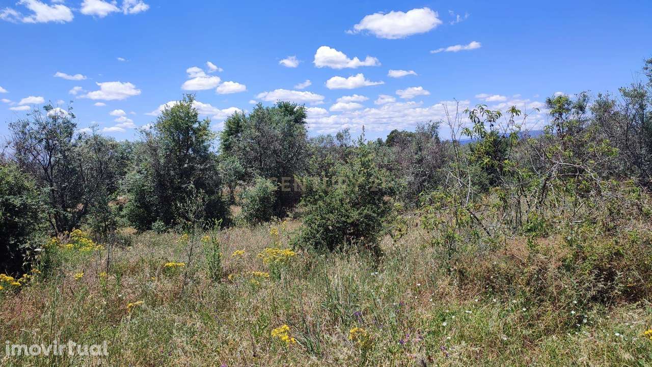 Terrenos Rústicos com 6250 m2, Ninho do Açor , Castelo Branco - Grande imagem: 2/10