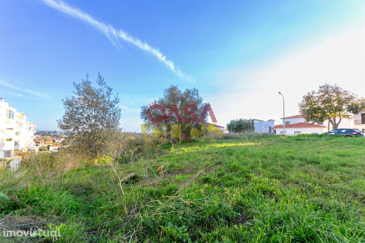 Lote de Terreno T3 Venda em Torres Novas (São Pedro), Lapas e Ribeira - Grande imagem: 4/20