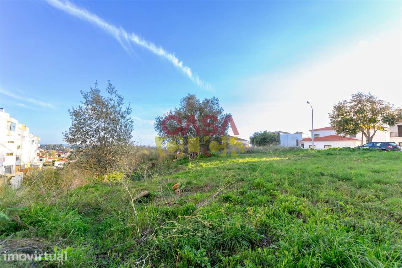 Lote de Terreno T3 Venda em Torres Novas (São Pedro), Lapas e Ribeira - Grande imagem: 2/21