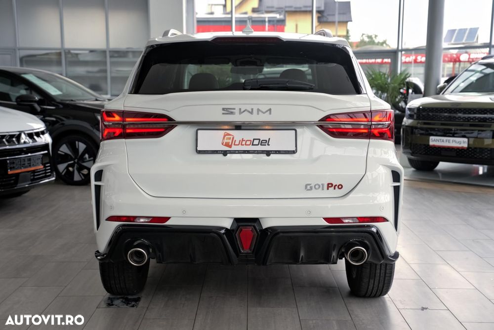 SWM G01 - 6