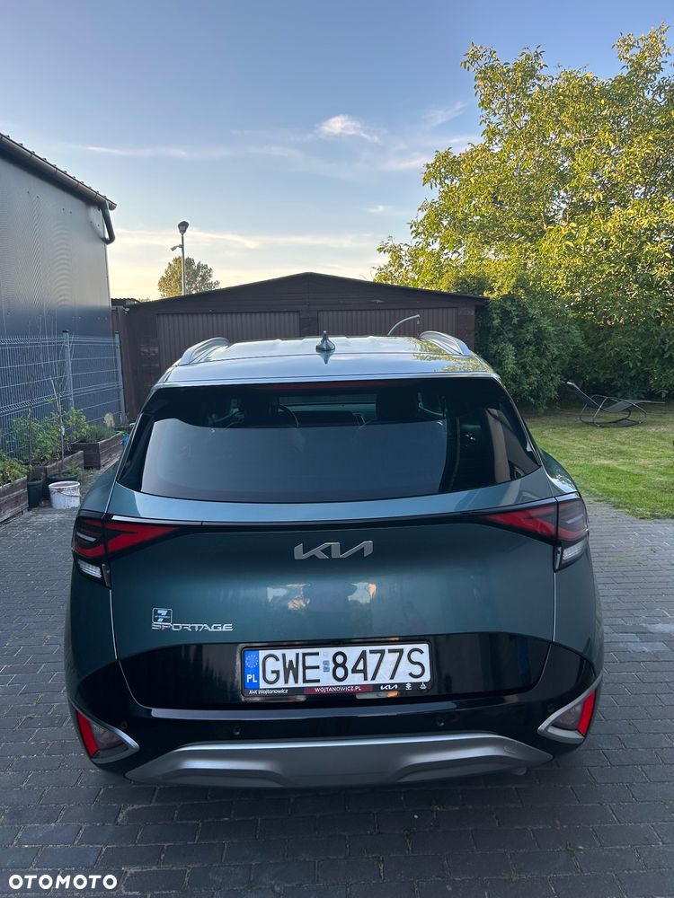 Kia Sportage 1.6 T-GDI MHEV Business Line 2WD DCT - 19