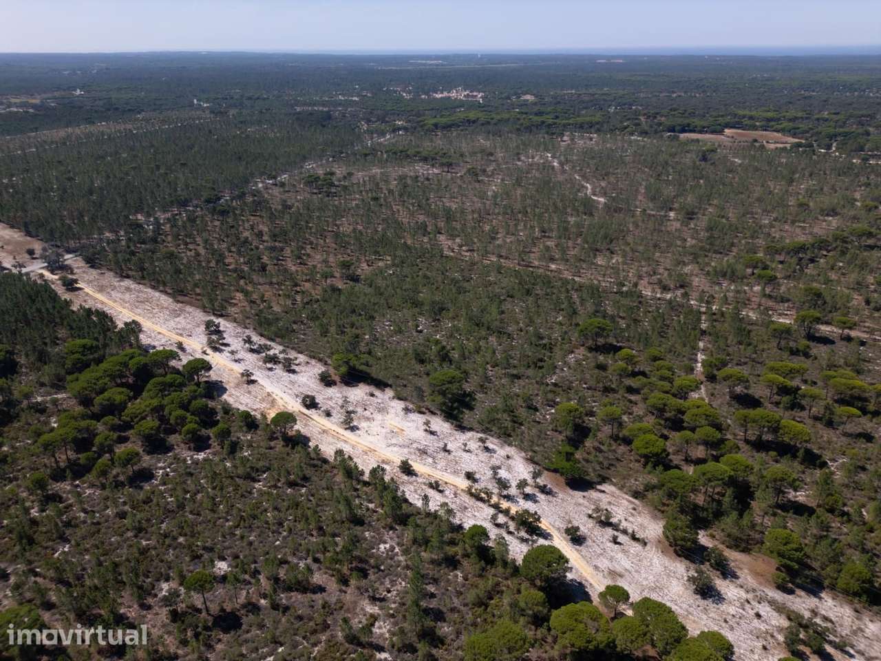 Terreno 9.4 ha, Muda, Grandola - Grande imagem: 2/25