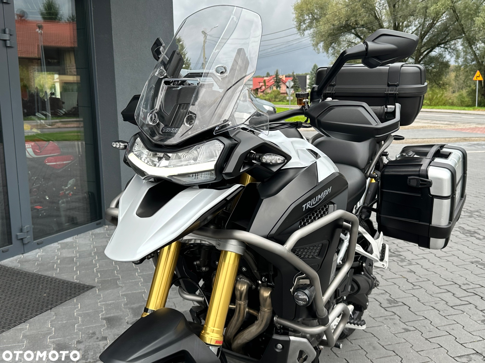 Triumph Tiger - 28