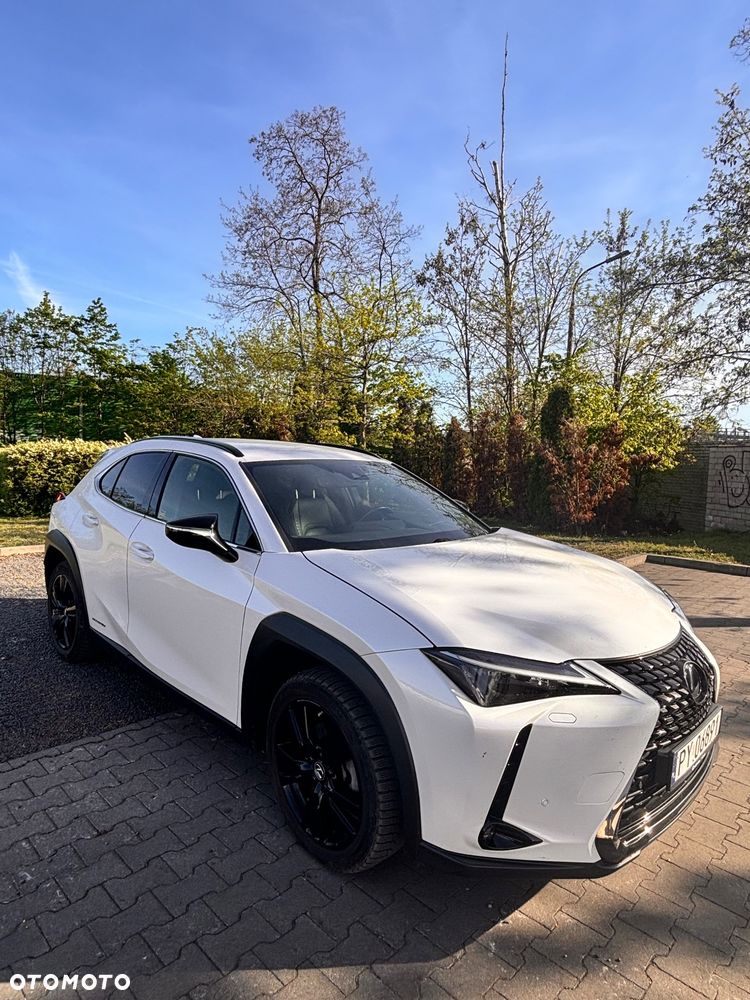 Lexus UX - 1