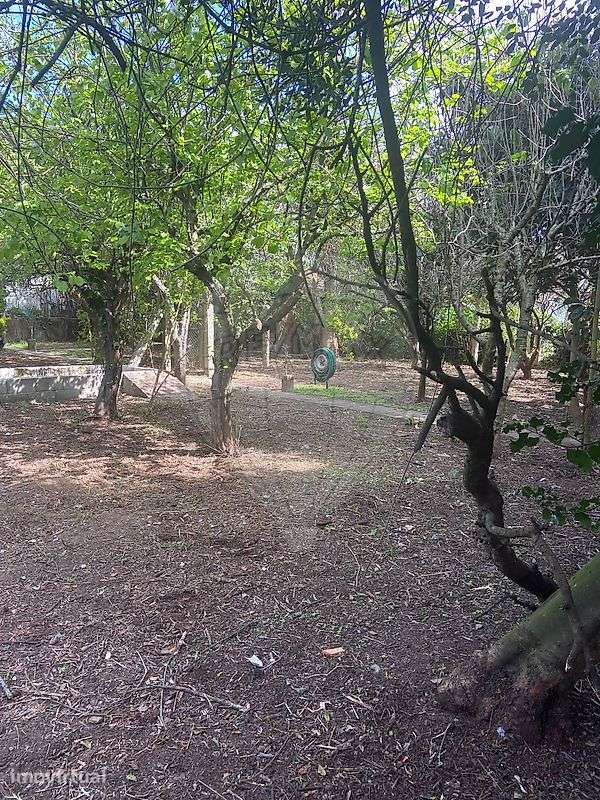 Moradia T4 para venda - Grande imagem: 3/13