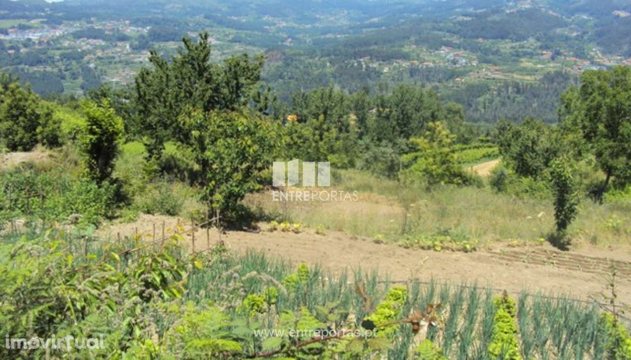 Venda Terreno,Tarouquela, Cinfães - Grande imagem: 5/30