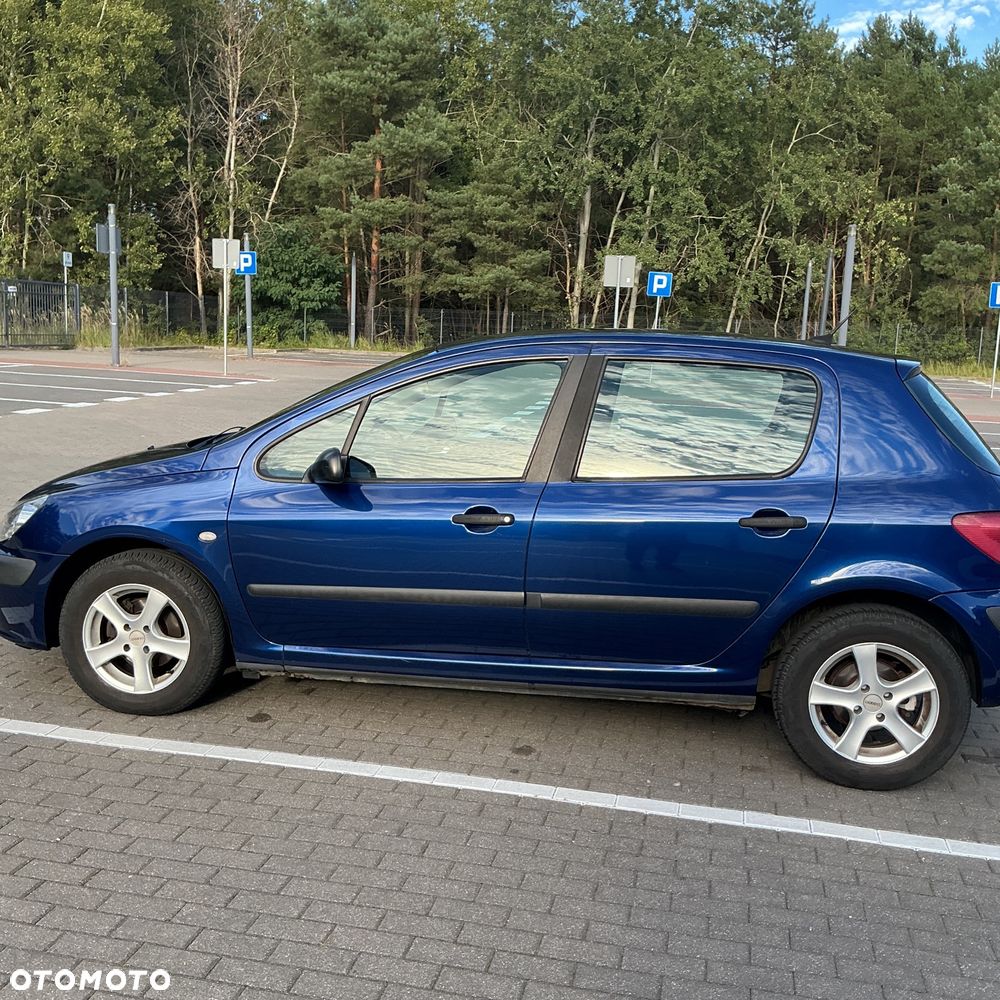 Peugeot 307 110 OXYGO - 7