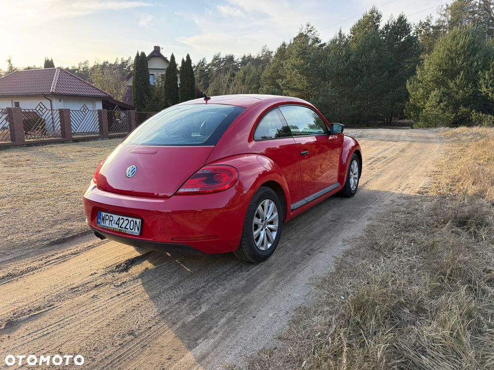 Volkswagen Beetle - 7