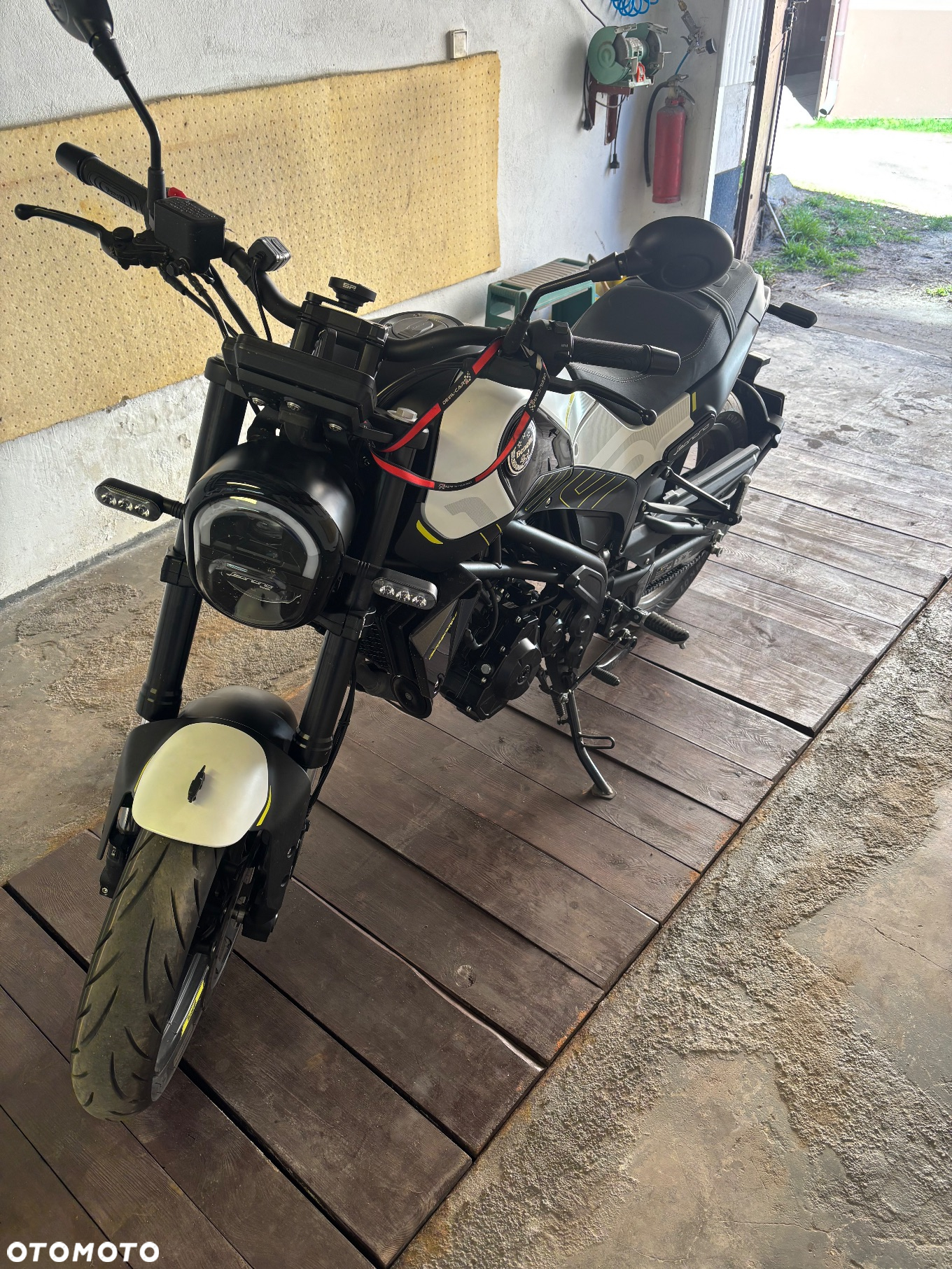 Benelli Leoncino - 2